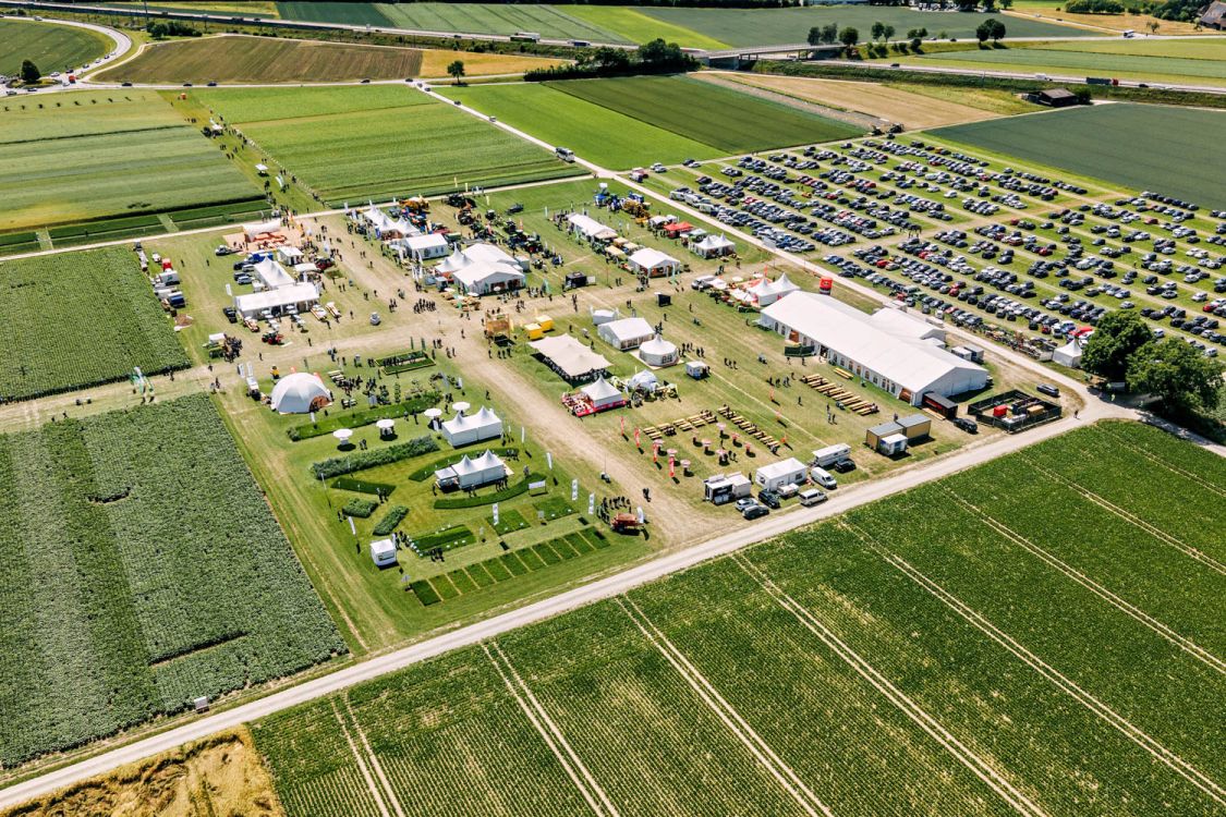Blick auf das Gelände mit 15ha angelegter  Versuchsfläche. (Bild: Markus Gehrig)