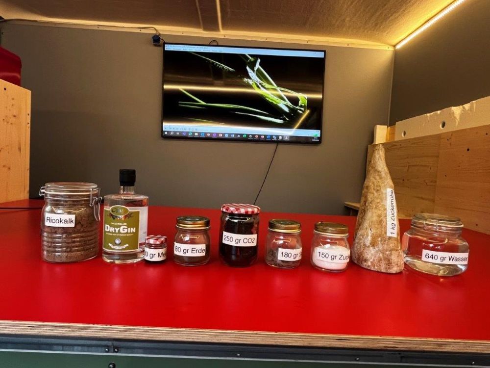 La betterave sucrière a de multiples talents. Ici, les composants d'un kilo de betterave sucrière. Photo : kim