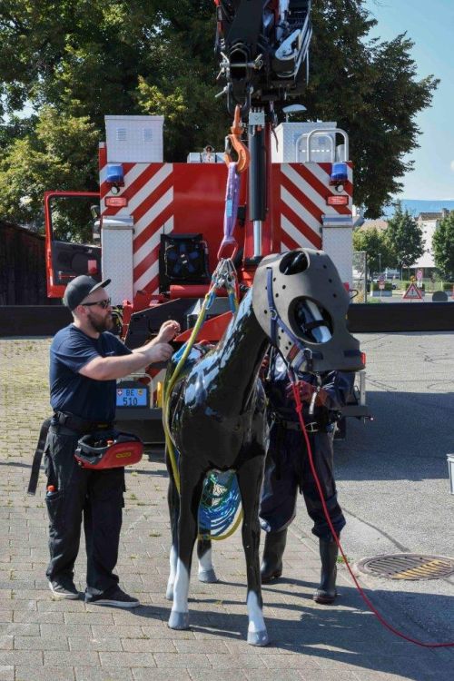Exercice pratique de sauvetage de gros animaux dans des fosses. Photo : zVg