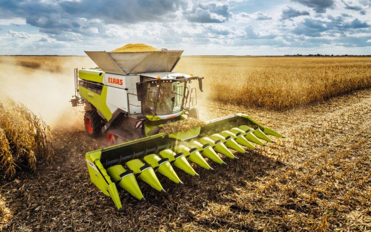 Les cueilleurs de maïs ROVIO 4 récoltent jusqu'à 30% de plus que leurs prédécesseurs. Photo : zVg