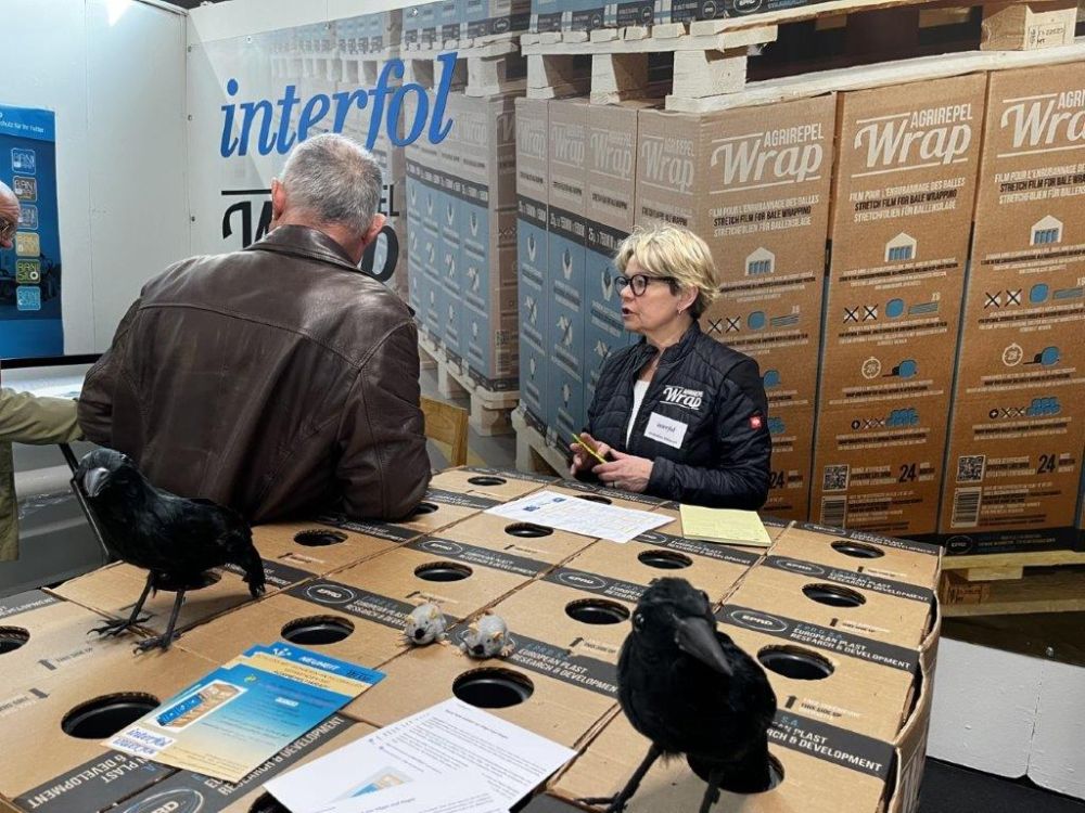 Jacqueline Delazzari, Geschäftsleitung bei Interfol AG, im Beratungsgespräch. Foto: kim