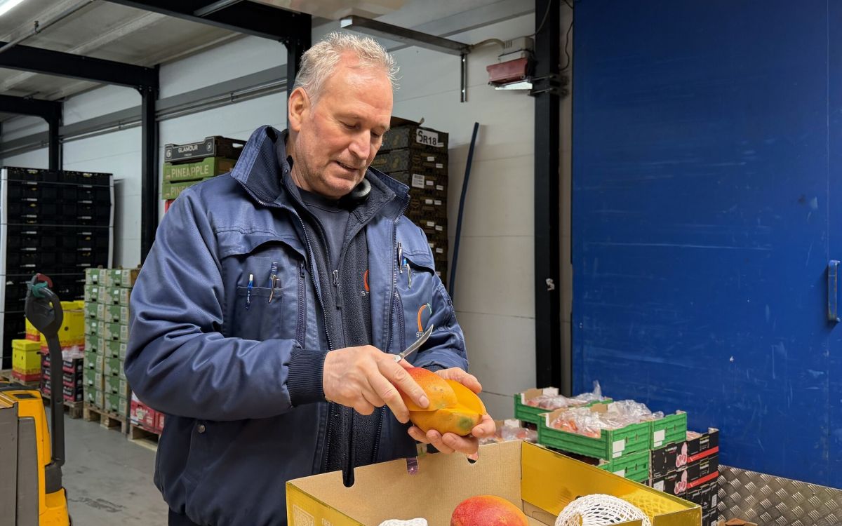 Mann schält Mango am Engrosmarkt Zürich