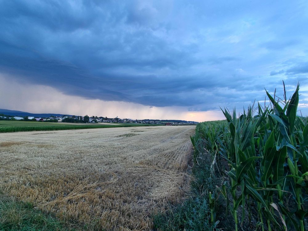 Aufziehendes Gewitter über einem Stoppelfeld: Die künftige Agrarpolitik sorgt für ein raues Klima bei den Interessenverbänden. (Bild: jin, lid)