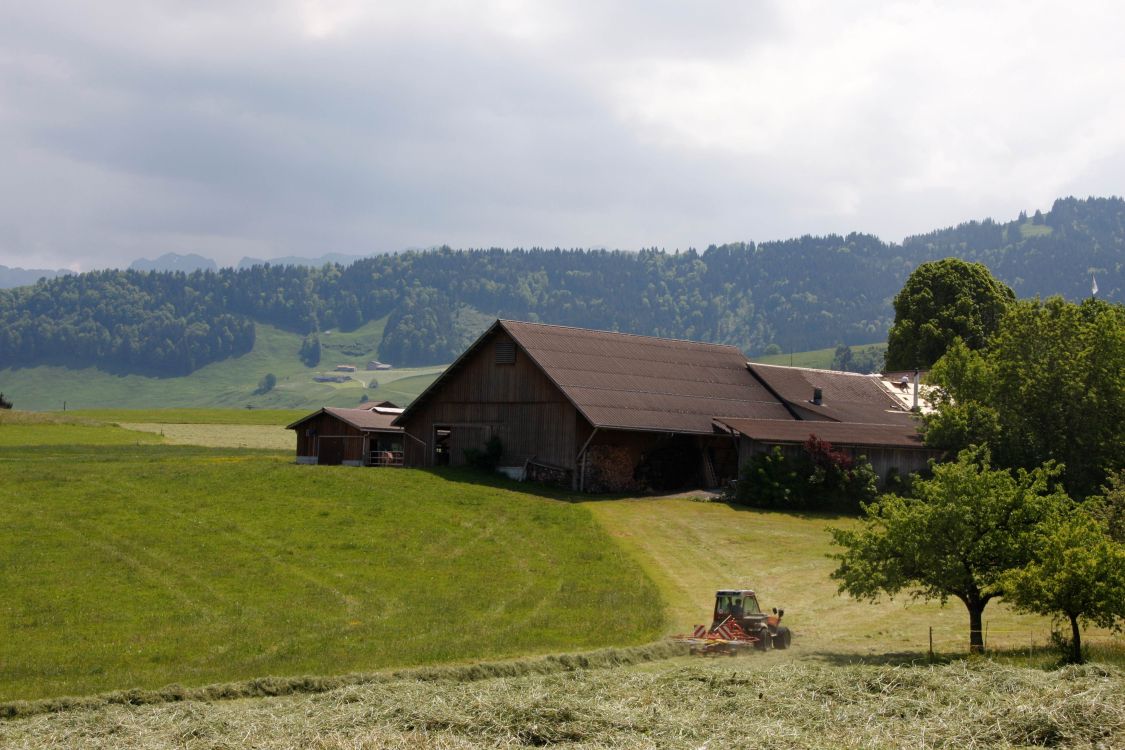 Hinter den Zahlen des neuen BLW-Datenportals steht die praktische Arbeit auf den Feldern und Wiesen wie hier in Stein AI. (Bild: LID)