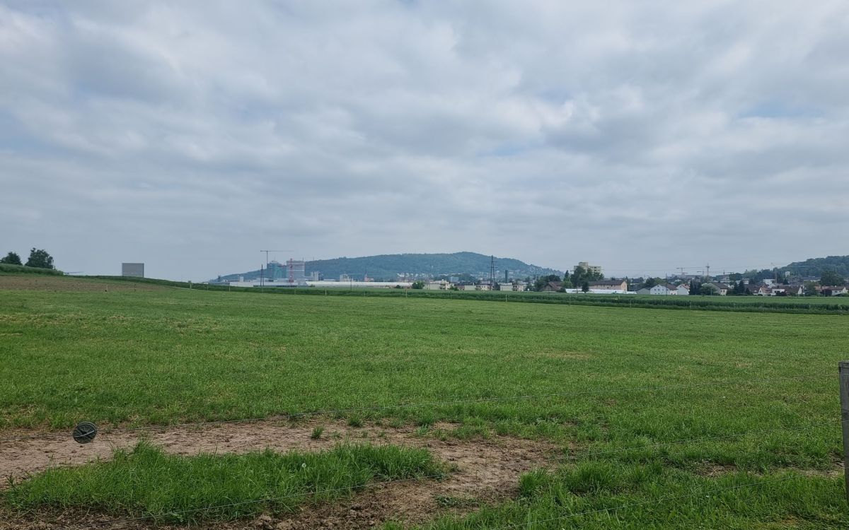 Un champ verdoyant au premier plan, l'agglomération de Zurich à l'arrière-plan