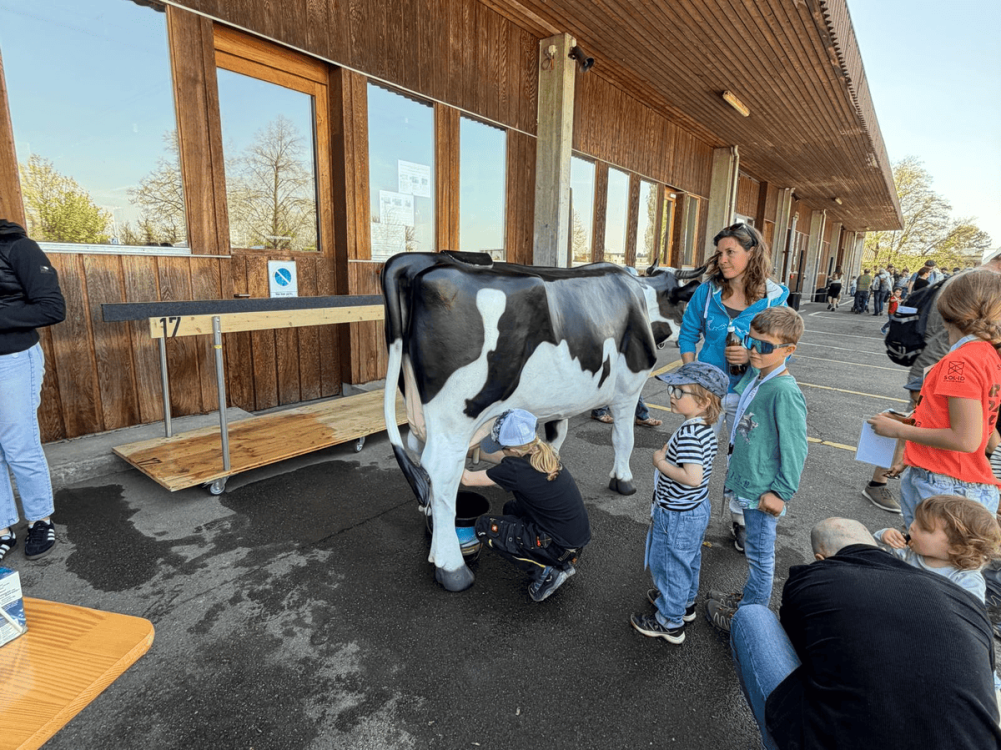 Bien entendu, on a aussi trait les vaches. (Photo : kim)