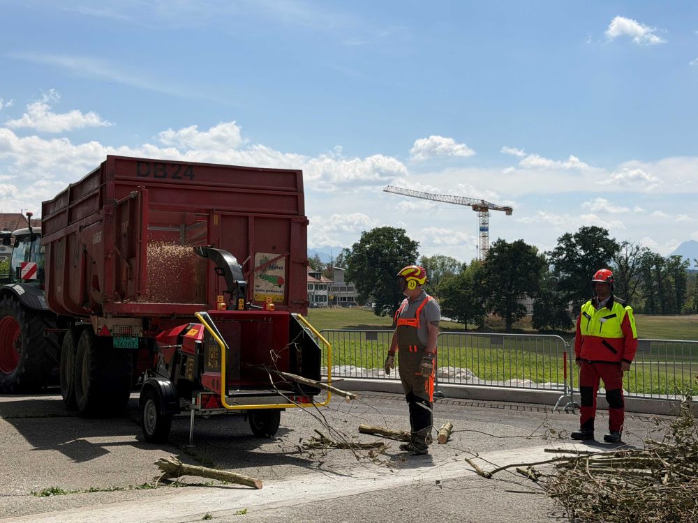 Das Helmvisier ist unverzichtbar bei Arbeiten, bei denen Stücke mit hoher Geshwindigkeit ins Auge gelangen können. Überhaupt gilt beim Helmkauf nicht nur auf Tragekomfort und Preis achten, sondern auch darauf, für welche Gefährdungen der Helm geprüft und vorgesehen ist. (Bild: kim)