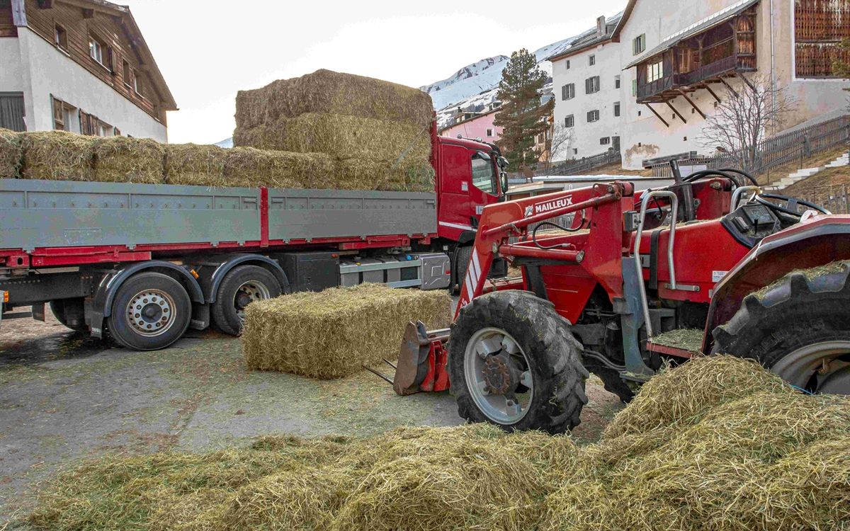 Une scène montrant un chariot autochargeur rempli de balles de foin. Un chargeur frontal rouge se trouve devant, et des balles de foin sont au sol après être tombées.