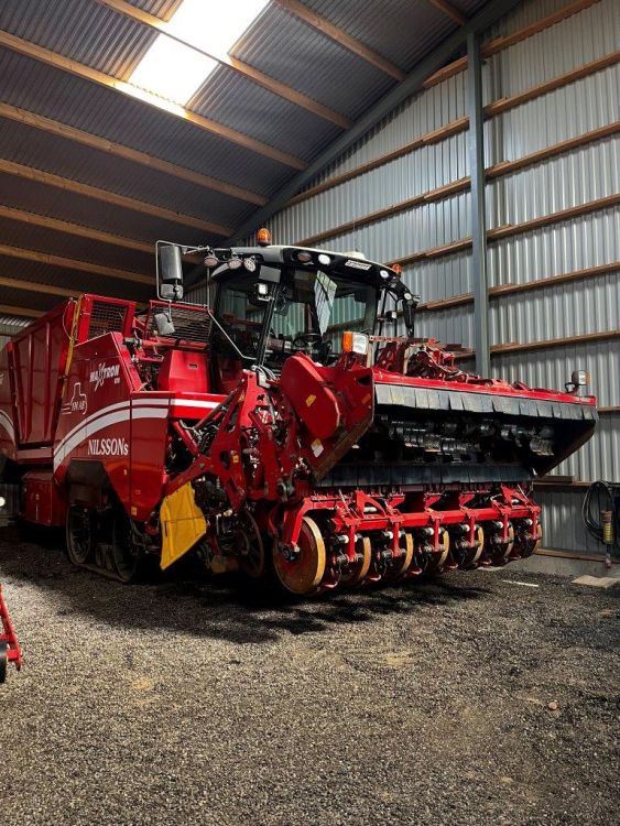 Thomas Nilsson récolte les betteraves sucrières avec la Maxtron 620 de Grimme.
