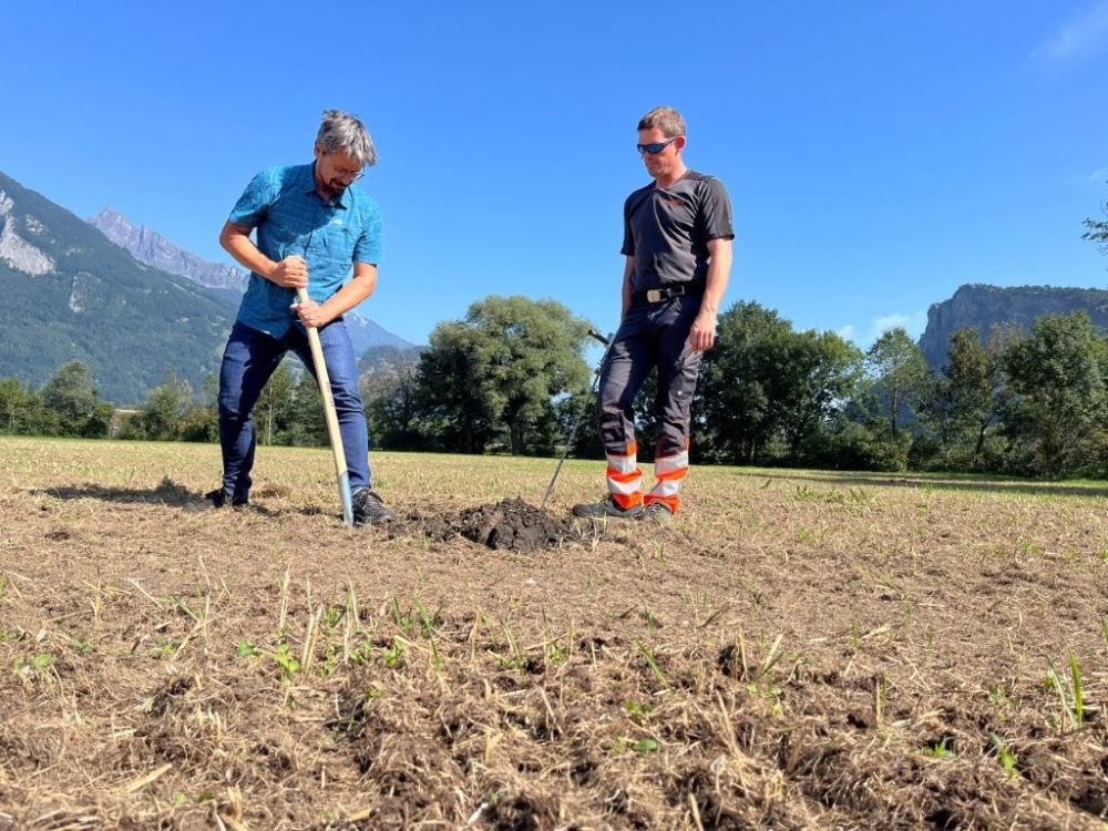 Bei unserem kleinen Feld haben wir gleich zwei ganz unterschiedliche Bodenstrukturen vorgefunden. Bildquelle: kim