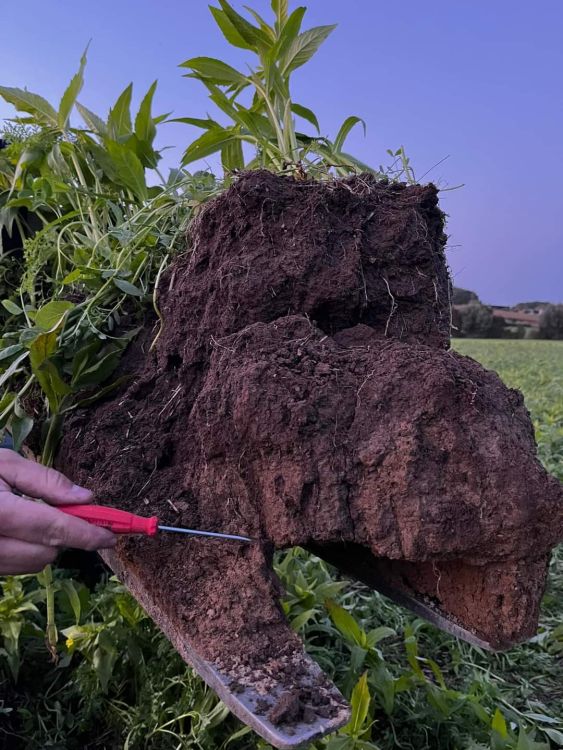 Un échantillon de sol a été prélevé à l'aide d'un chargeur télescopique à des fins d'illustration. Image : kim