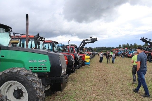 Unterschiedliche Farben waren zu bestaunen.