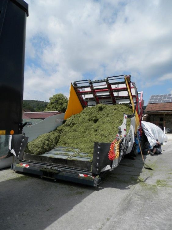 Le produit à ensiler est déversé sur la trémie de réception avec un tampon d'environ 20 m³. Photo : Süß
