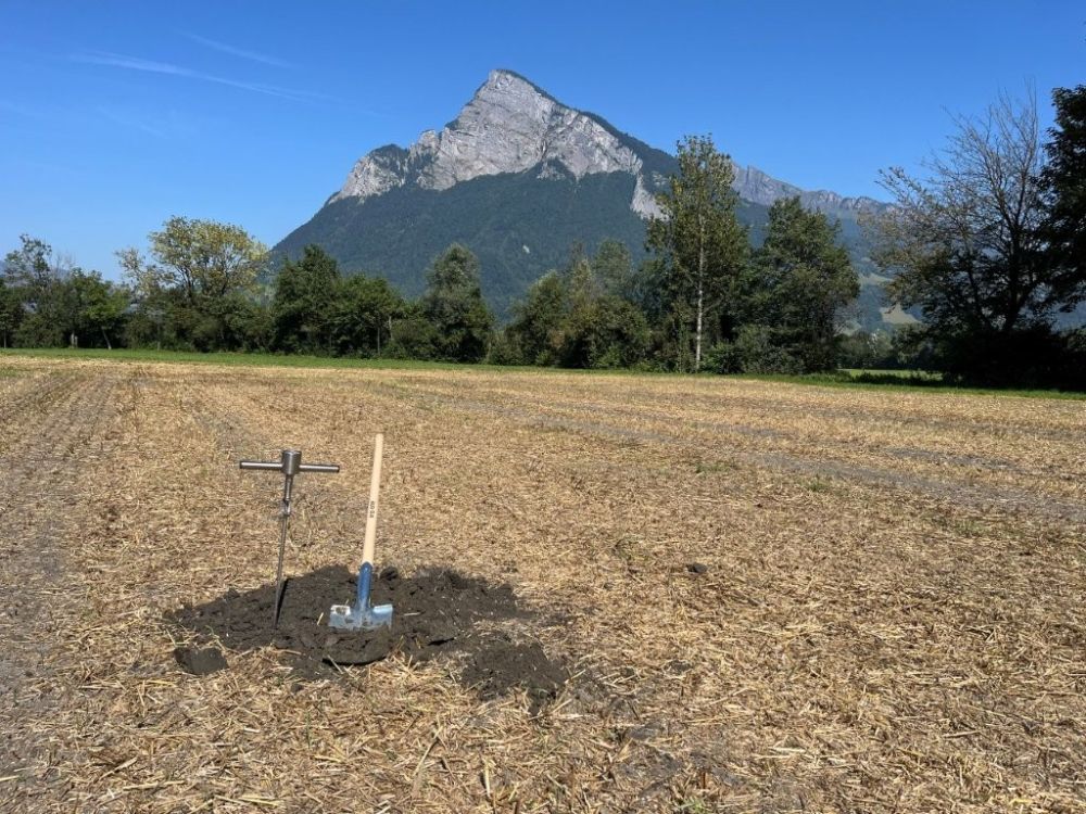 Die Spatenprobe ist eine bewährte Methode, um die Bodenstruktur im Feld zu beurteilen. Bildquelle: kim