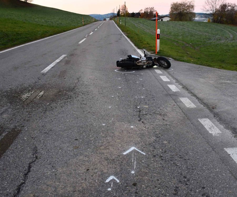 Kollisionen mit entlaufenen Kühen führten am 12. November 2025 auf der Route de la Gruyère bei La Roche (FR) zu zwei Unfällen: Ein 70-jähriger Autofahrer blieb unverletzt, ein 17-jähriger Motorradfahrer wurde schwer verletzt. (Bild: Kapo FR)